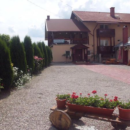 Pensiunea Alexandra Vatra Moldoviţei Exterior foto